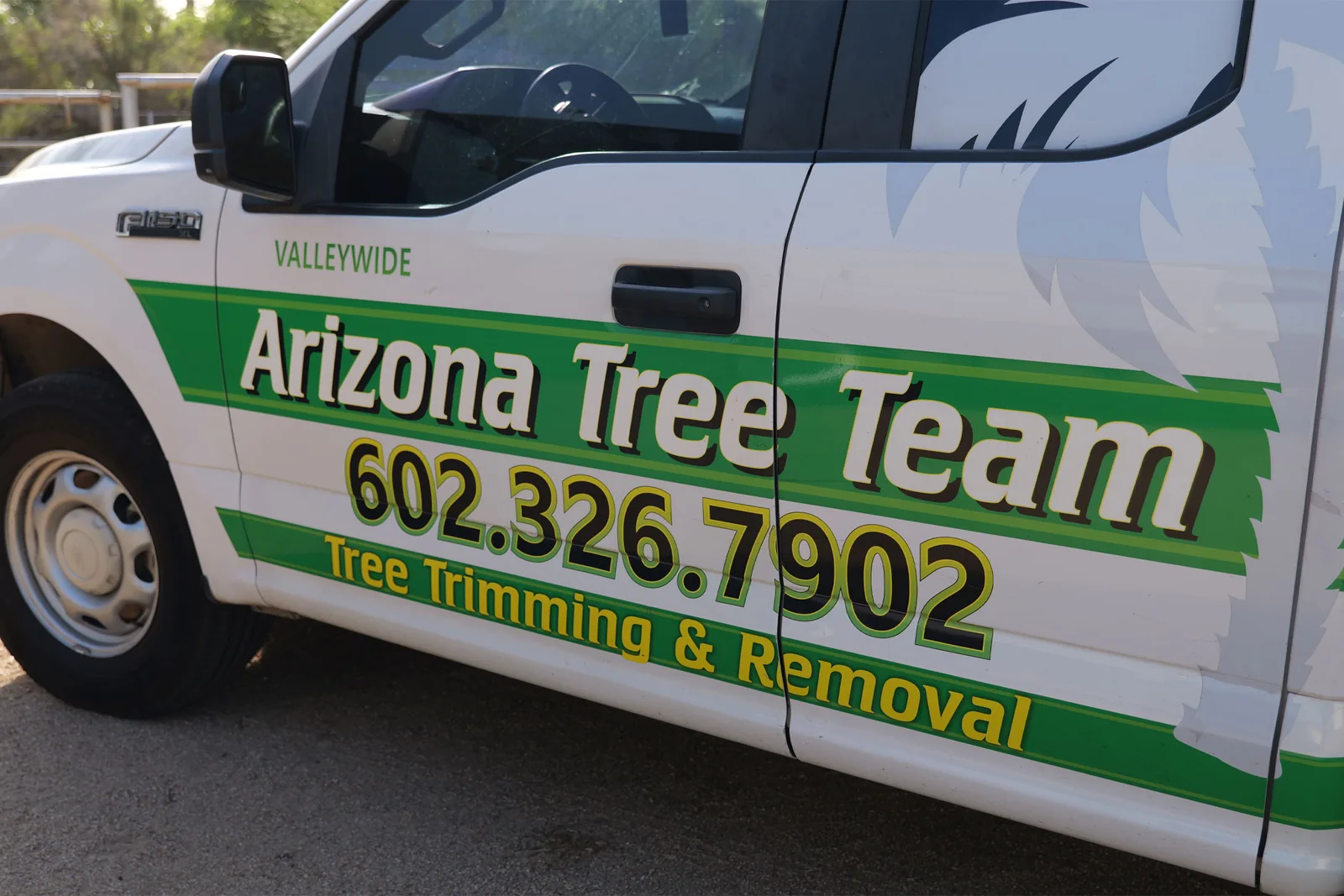 Phoenix-area tree care frequently asked questions imagery