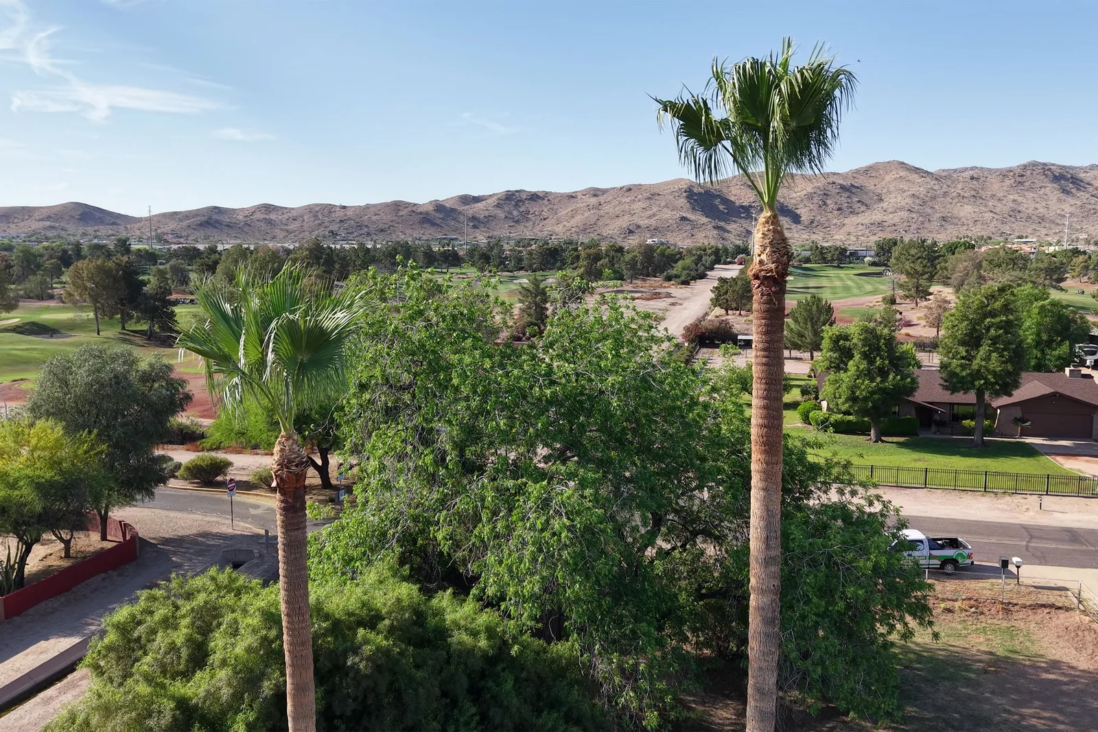 Arizona Tree Team crew wrap-up on a Valley job site