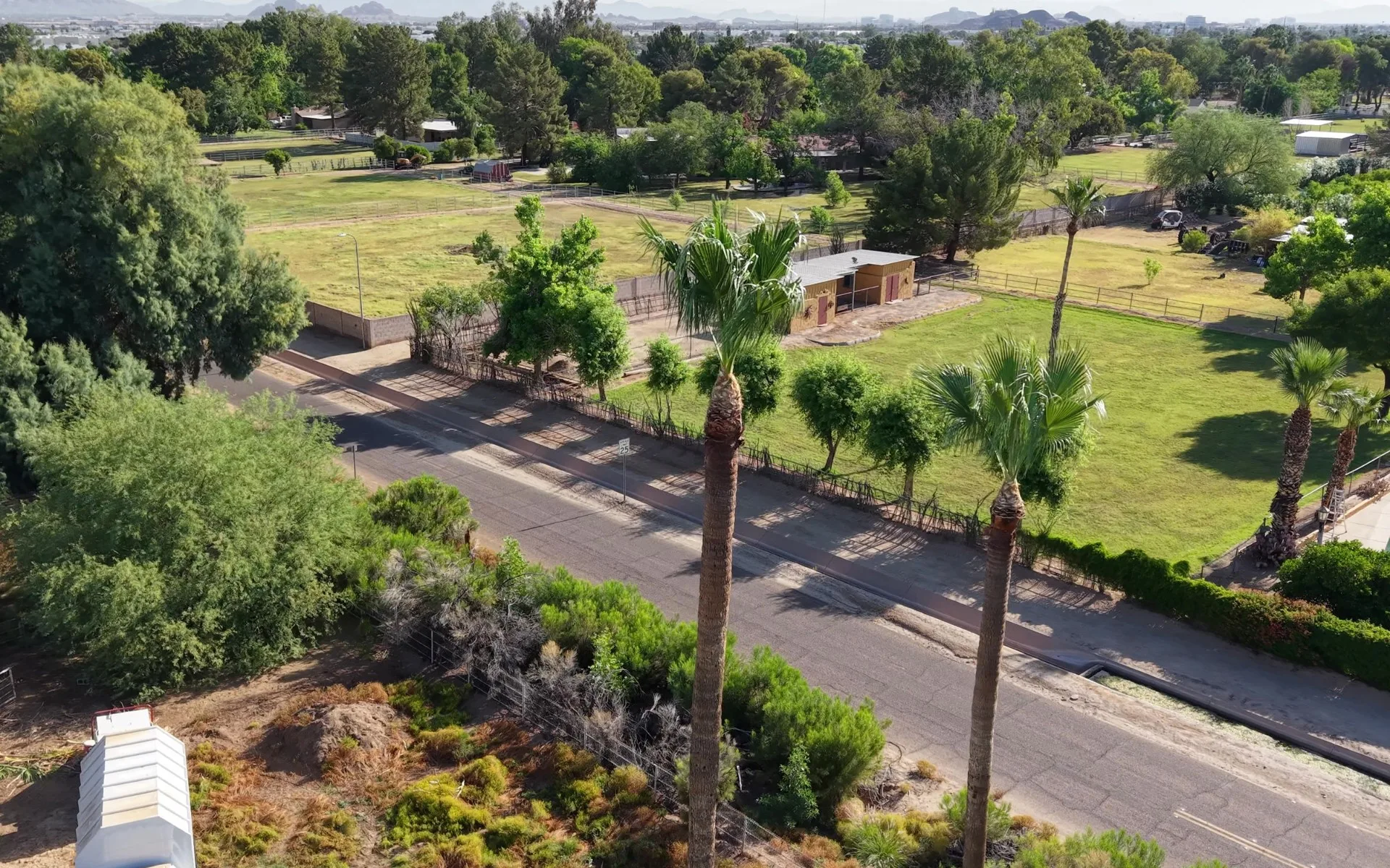 Arizona Tree Team truck and equipment on a residential job