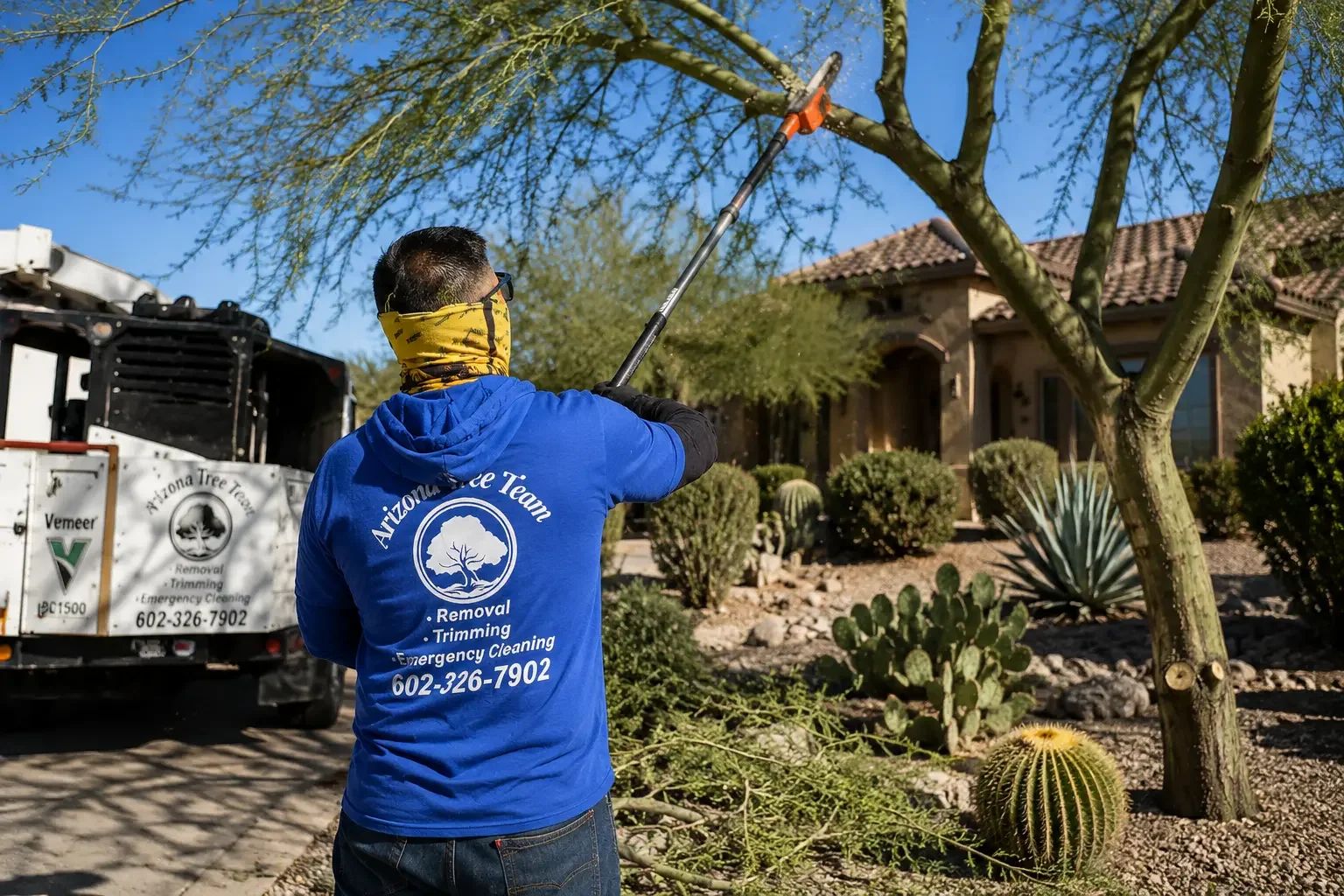 Can a Storm-Damaged Palo Verde Be Saved? A Phoenix Homeowner's Guide — Phoenix tree care guide