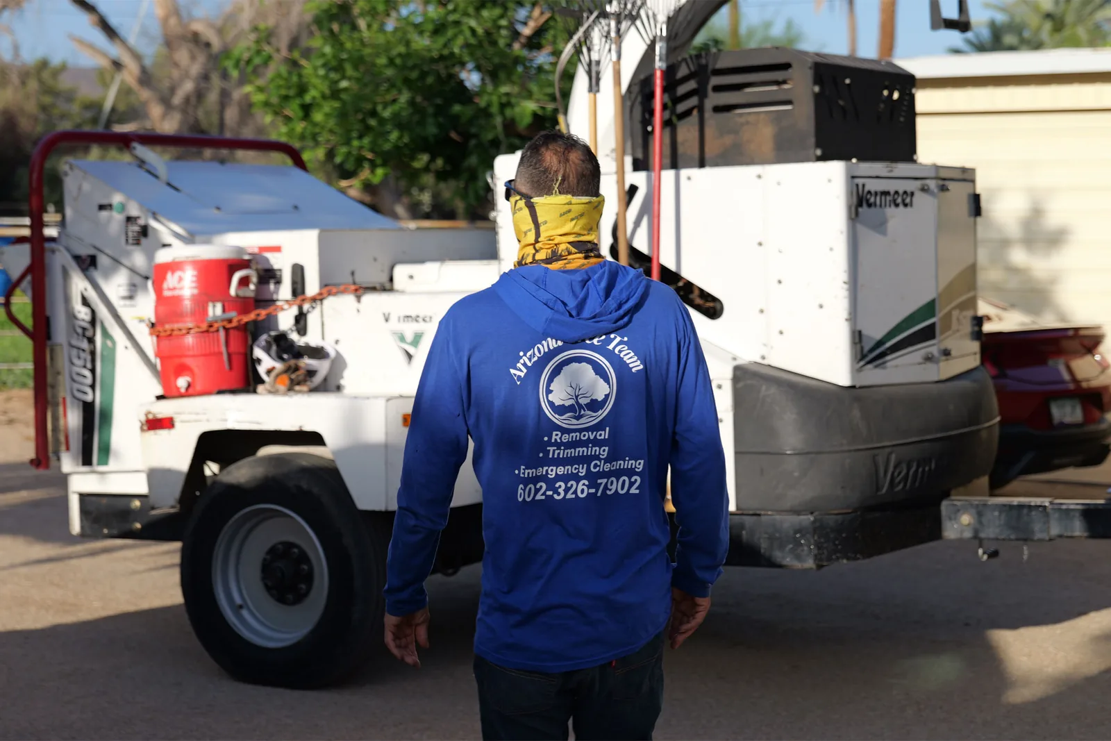 Service detail of an Arizona Tree Team project