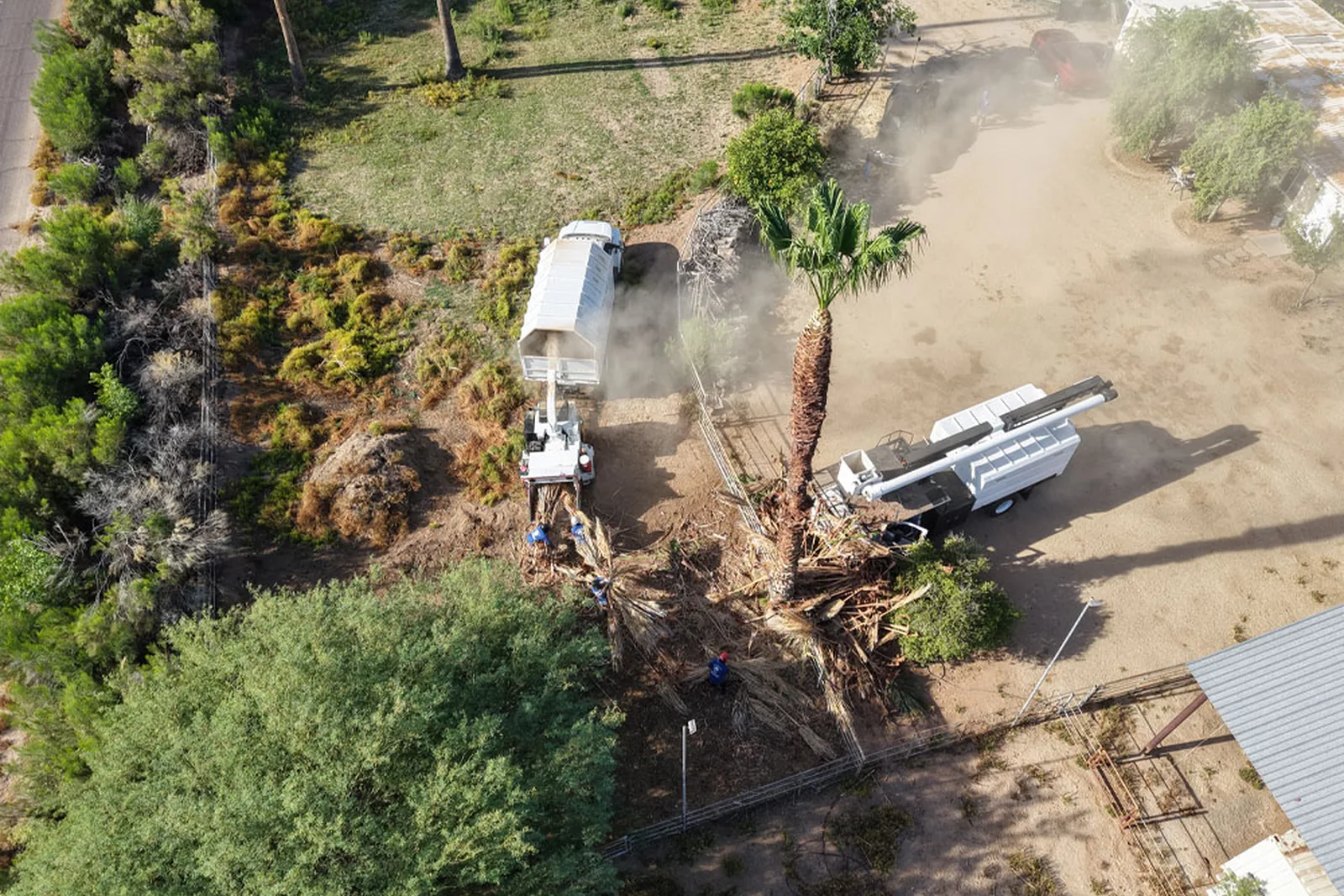 Stump grinding completed below grade by Arizona Tree Team